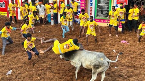 2 dead, 70 injured during Manjuvirattu, bull-chasing sport in Tamil ...