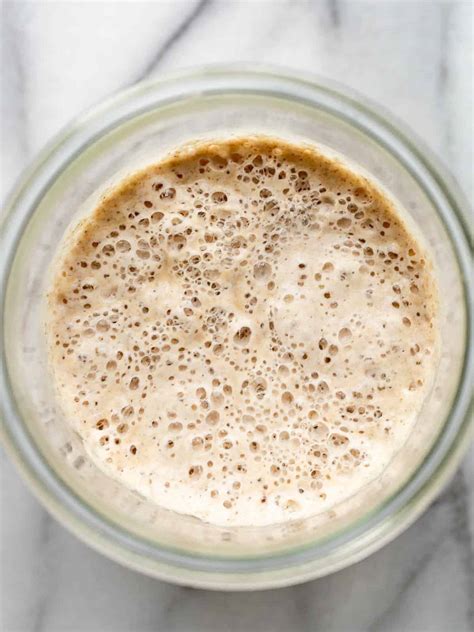 Sourdough Starter Recipe _ Stiff Sourdough Starter Recipe – YLEAV
