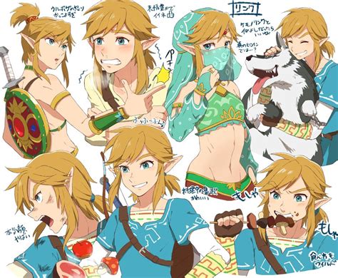 Pinterest | Legend of zelda, Legend of zelda breath, Breath of the wild