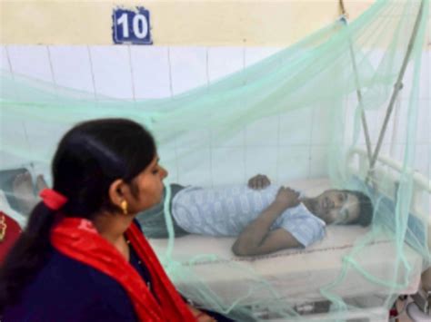 How dangerous is D2 variant of dengue? Know from LNJP Dr Ritu - डेंगू ...