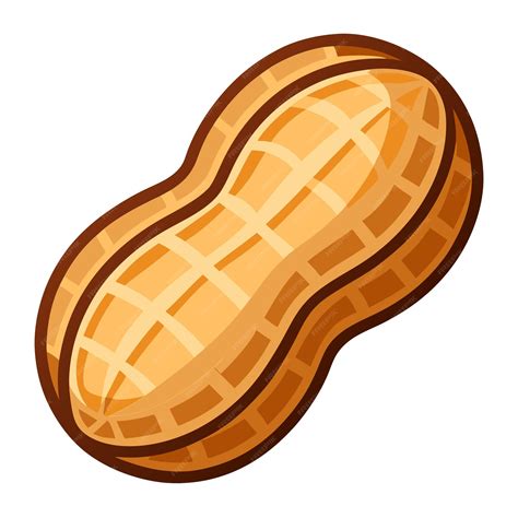 Peanut clipart vector art and illustration | Premium AI-generated vector