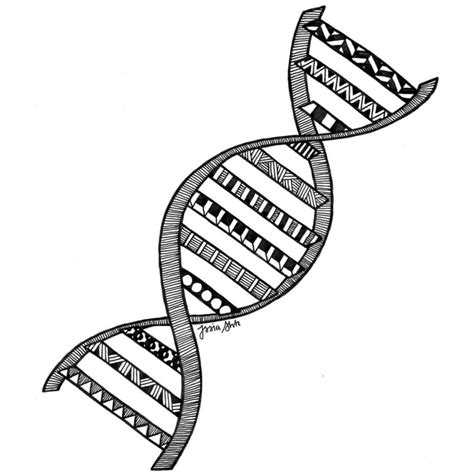 Dna Drawing Labeled | Free download on ClipArtMag