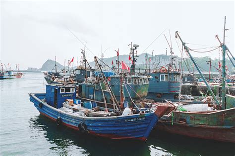 渔民满载归 渔港交易忙——南方拍客镜头下的惠来神泉港_南方网