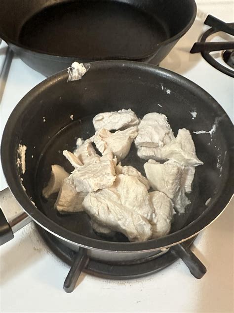 Unseasoned & boiled chicken. My dog’s favorite meal : r/shittyfoodporn