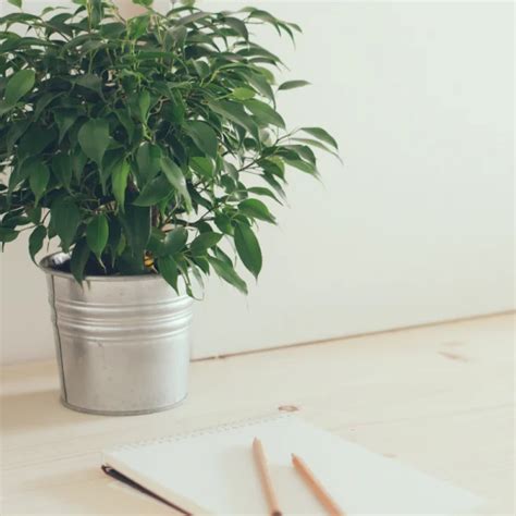 Economy Aesthetic 的图像结果