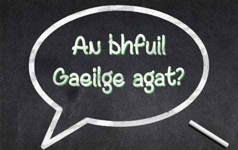 Learn Irish Basics 的图像结果