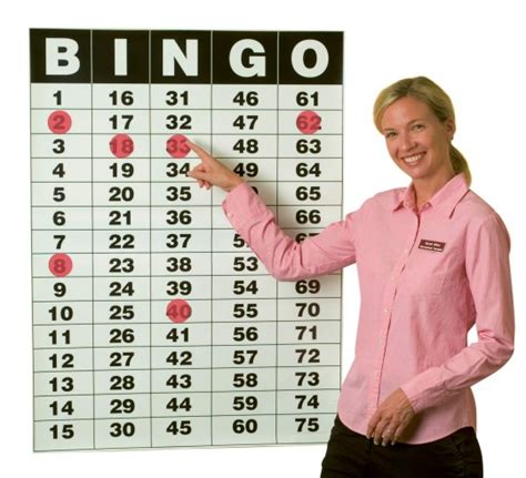 indslots bingo boards apk v3.2.2