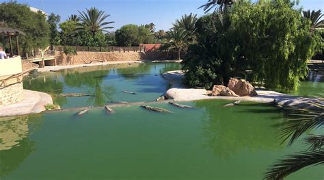 MAISON D'HÔTES DAR SANA (Ksar el Hallouf) - Hotel Reviews & Photos ...