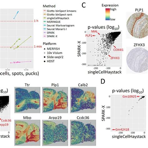 Image result for Spatial Transcriptomics Methods