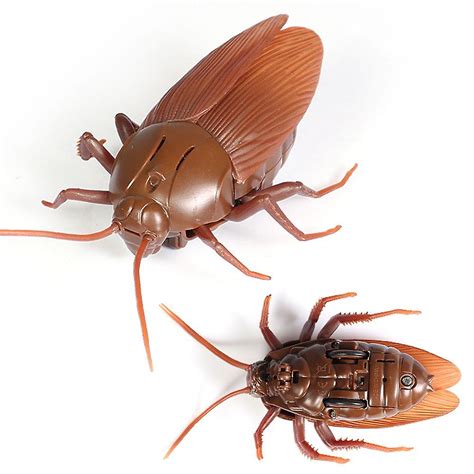 Image result for Remote Control Insects