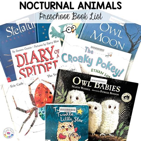 Nocturnal Animals List 10 Animals That Stay Up All Night A Z Animals