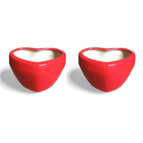 Buy 4.5 inch (11 cm) Heart Shape Ceramic Pot online from Nurserylive at ...