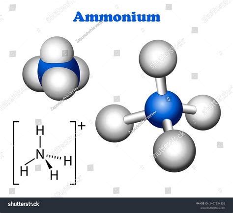 Ammonium Molecule Model Diagram Science Education Stock Illustration ...