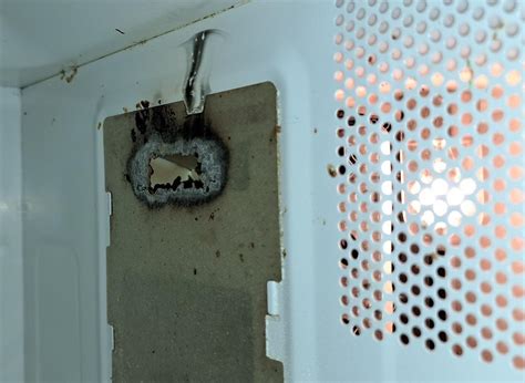 Image result for Why Meat Explode in Microwave