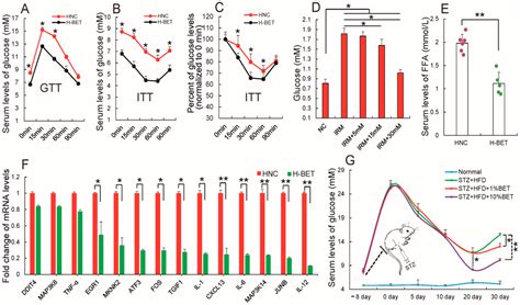Betaine Supplementation Enhances Lipid Metabolism and Improves Insulin ...