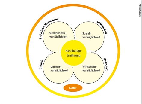 Ökologisch nachhaltiger, gesunder Lebensstil bei Übergewicht & Adiposi ...