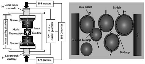 Tungsten Heavy Alloys Processing via Microwave Sintering, Spark Plasma Sintering, and Additive ...