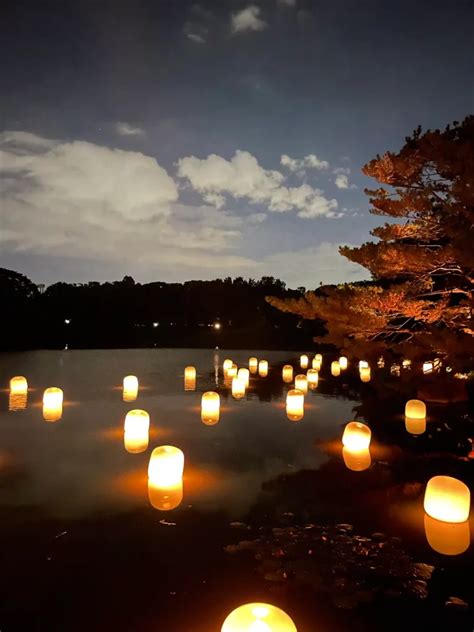 Image result for TeamLab Underware