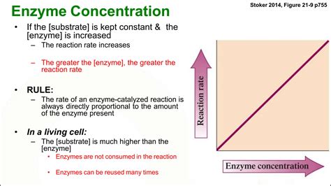 Biochemistry of Enzymes and Coenzymes.pptx