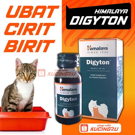 Mengapa Kidscents Young Living Efektif untuk Anak dengan Cirit Birit?