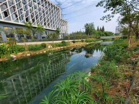 宁波成功列入国家典型地区再生水利用配置试点城市_中国网