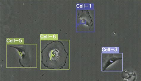 Image result for Deepsort Tutorial