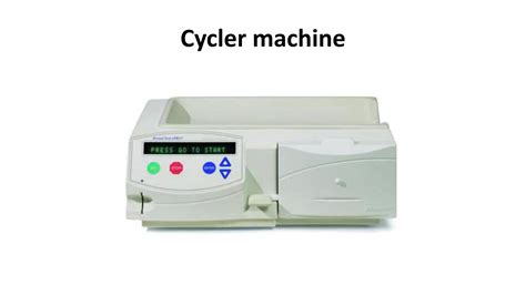 Image result for Capd Flow Sheet