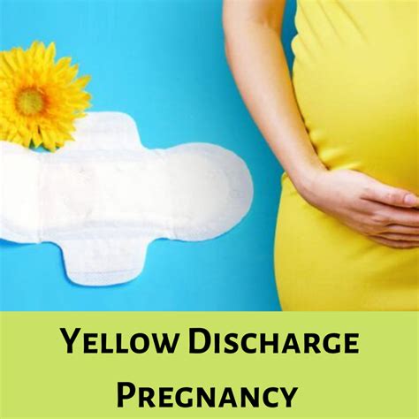 Is Pregnancy Pee More Yellow at Phil Murray blog