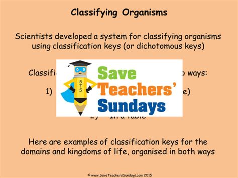 Image result for Example of a Classification Key KS2 Name