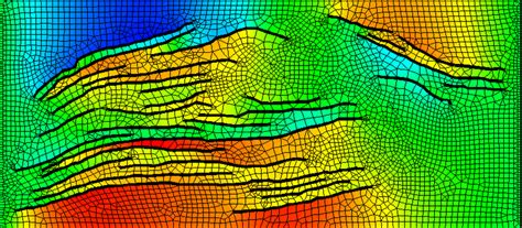 Image result for Concentration Gradient of Na