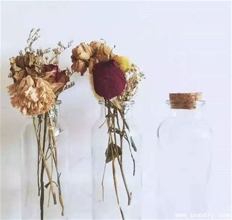 【干花制作方法】干花有哪些品种 适合做干花的花有哪些？-娟蝶鲜花蛋糕网
