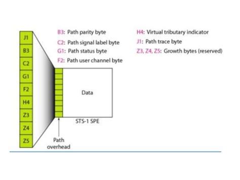 Sonet in Networking Explained 的图像结果