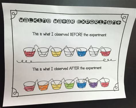 Image result for Function Science Experiments