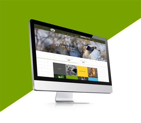 动物园网站设计|网页|企业官网|宜禾设计 - 原创作品 - 站酷 (ZCOOL)
