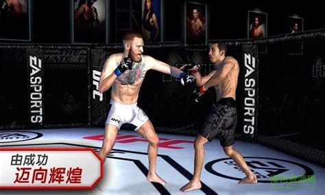 PS4 EA Sports UFC 3 (English/Chinese) * 终极格斗冠军赛 4 * – HeavyArm Store