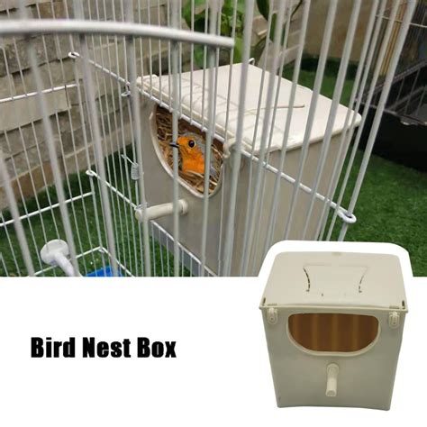 Image result for Parakeet Breeding Box
