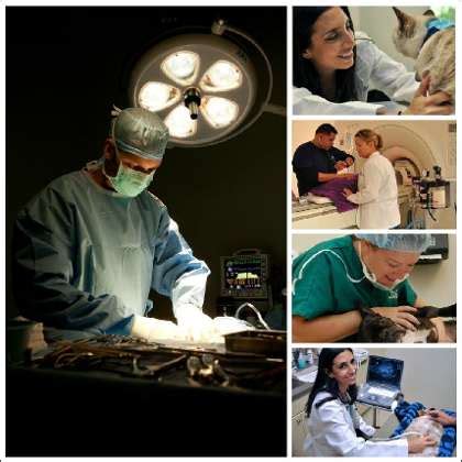 Animal Specialty Hospital of Florida Office Photos | Glassdoor