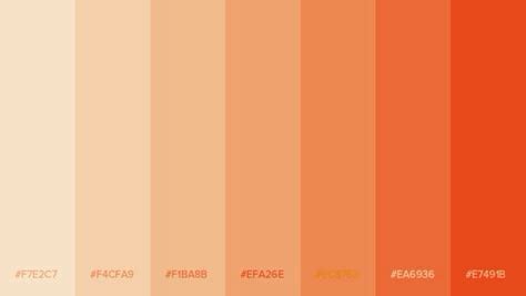 Image result for Orange Color Code RGB