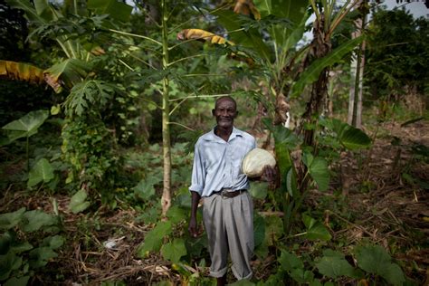 Haiti Ministere Agriculture