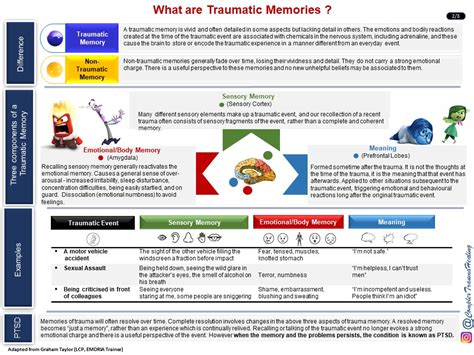 Image result for Trauma Memory Processing