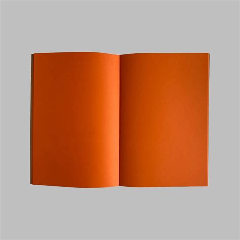 Vibrant Series - Orange colour – TheStore67