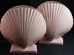 Image result for Fan Shell Vase