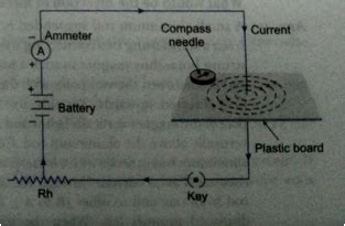 Subjects | Study Isle