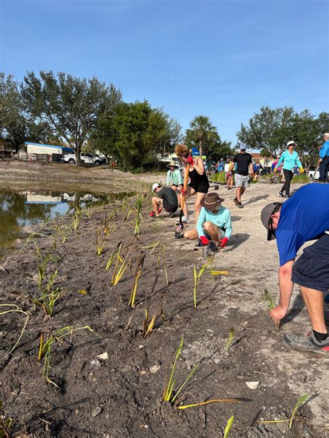 Treasure Bay Planting Sunday!, 10315 PARADISE BLVD TREASURE ISLAND, 18 ...