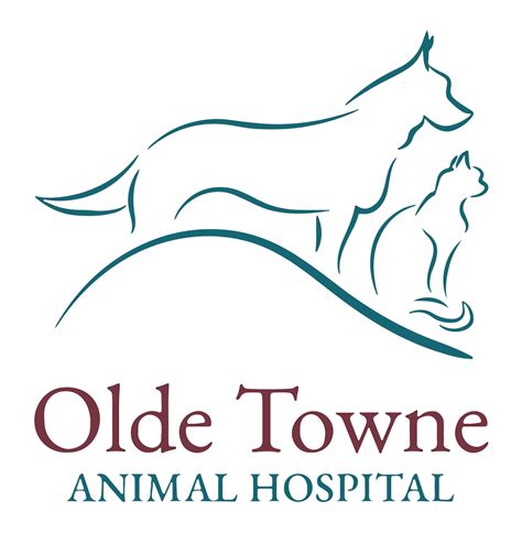 Top Rated Suwanee Veterinarian - Olde Towne Animal Hospital