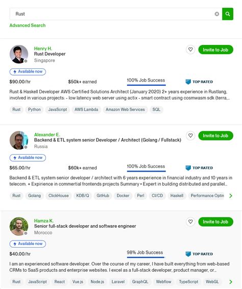 Rust Developer 的图像结果