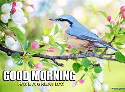 Image result for Inspiring Good Morning First Day of Spring