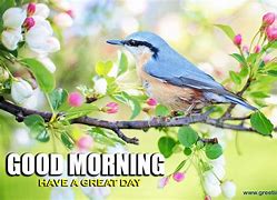 Image result for Animated Good Morning Spring