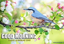 Image result for Good Morning Spring Sunshine