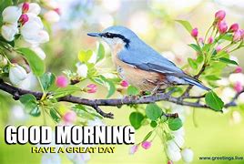 Image result for Good Spring Morning Everyone